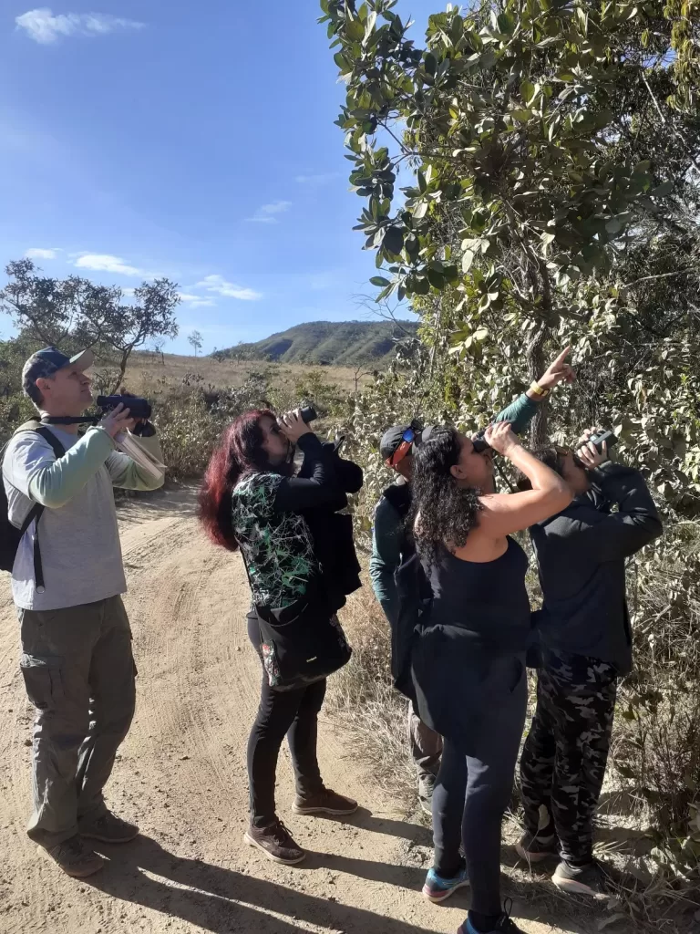 Turismo Sustentável com a Observação de Aves