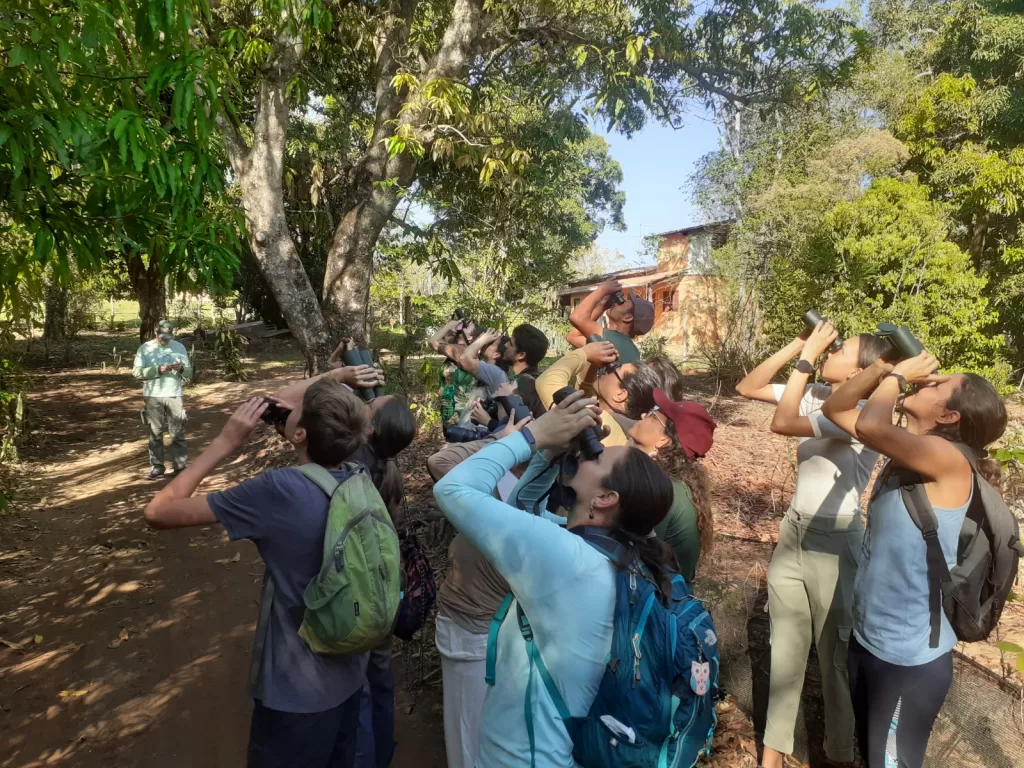 Birdwatching na Chapada dos Veadeiros: Explorando a Biodiversidade Aves