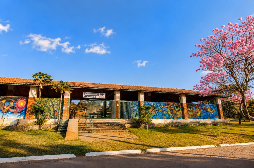 Entrada da Feira do Produtor Rural de Alto Paraíso de Goiás, na Chapada dos Veadeiros, com murais de arte urbana, árvore de ipê florido e espaço dedicado à agricultura familiar e produtos do cerrado.
