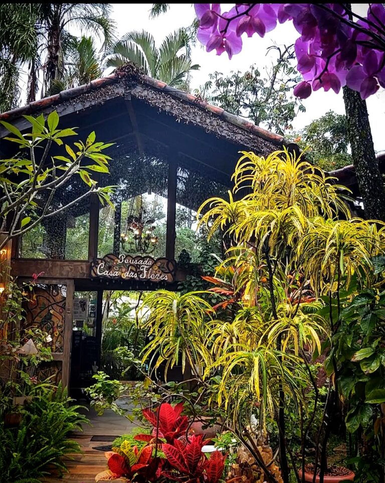 Pousada Casa das Flores - São Jorge - Chapada dos Veadeiros