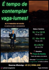 Vaga-lumes na Chapada dos Veadeiros