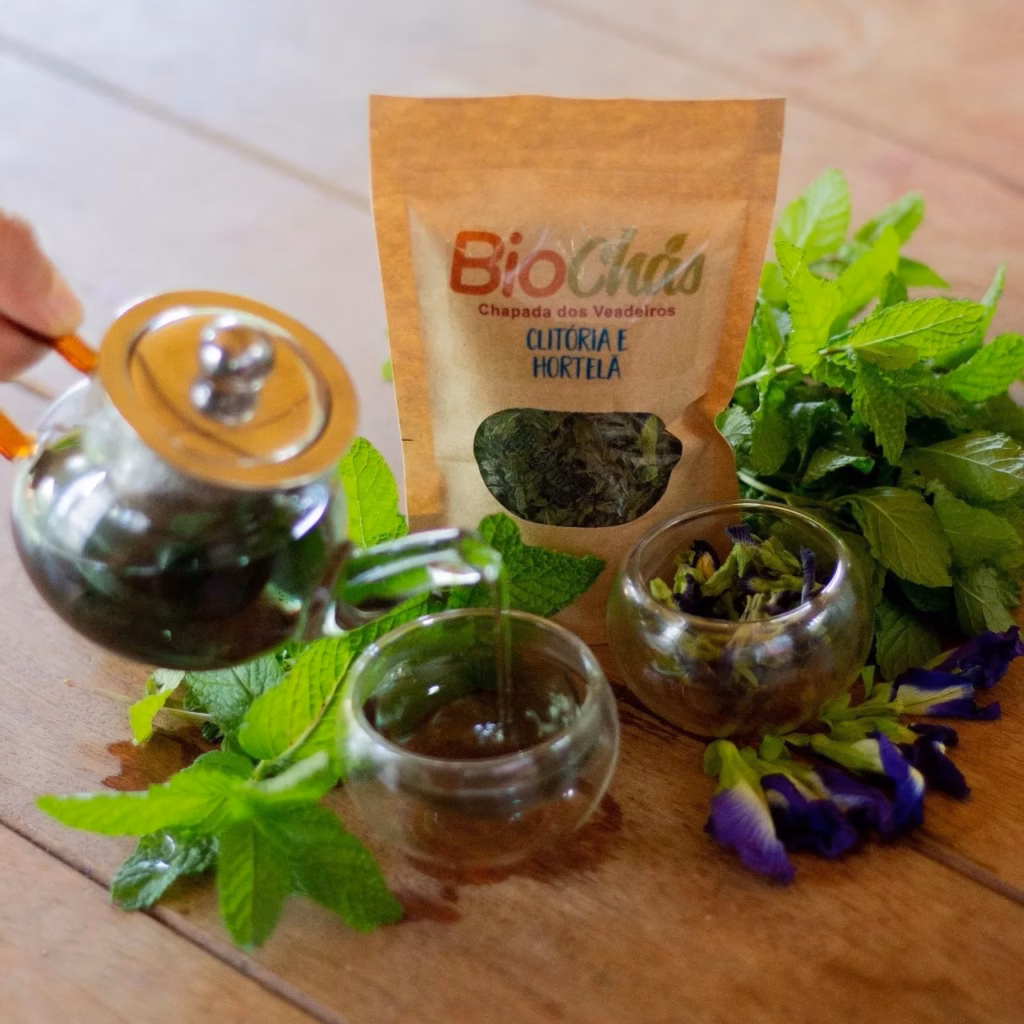 rota-viva-veadeiros-chapada-dos-veadeiros-terapia-hipnose-massagem-retiro-goias-mesa-lira-sebrae-bem-estar-pousada-alto-paraiso-reiki- (18)