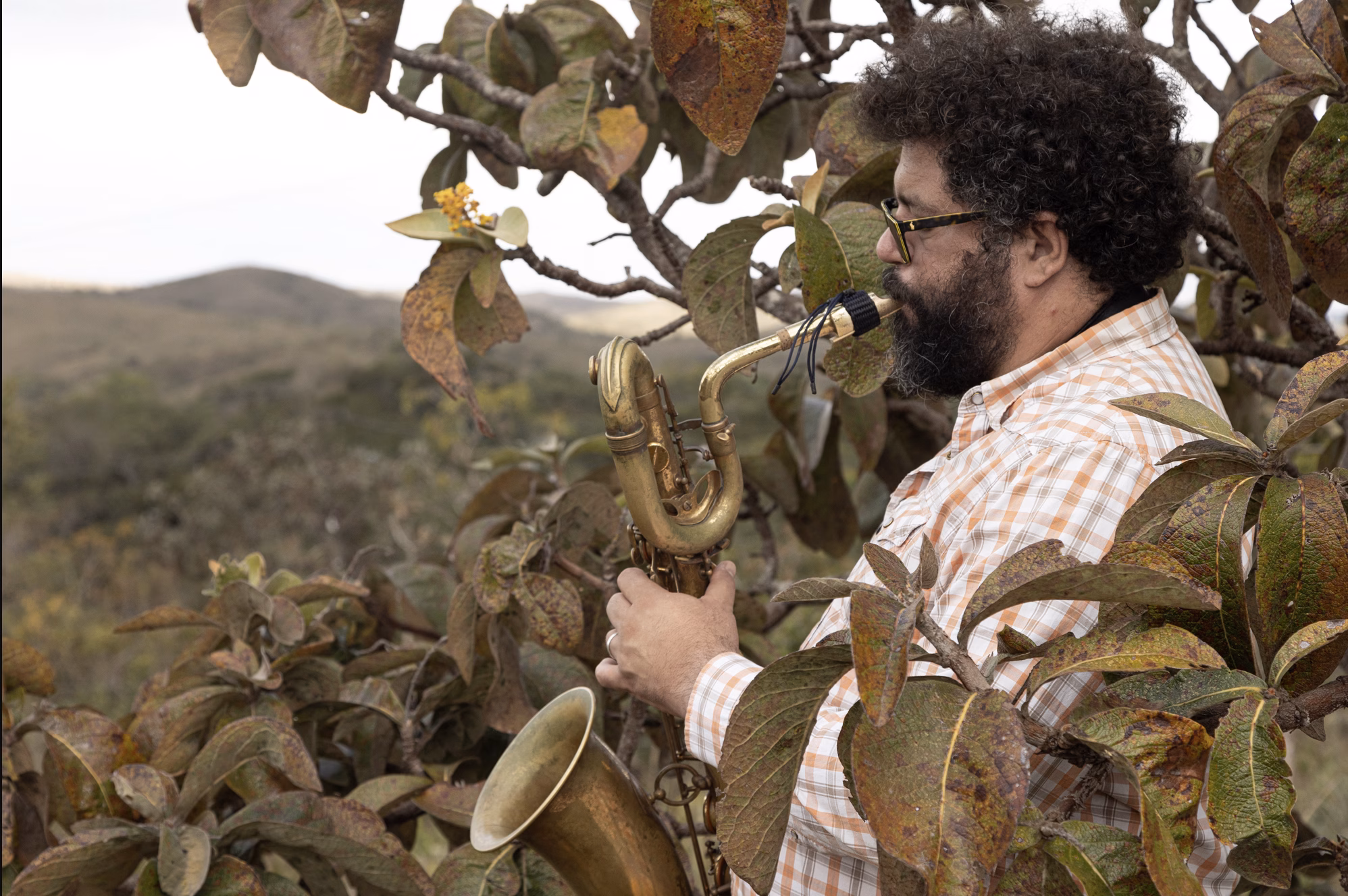 Jazz na Vila chega mais uma vez animando a Chapada dos Veadeiros em novembro