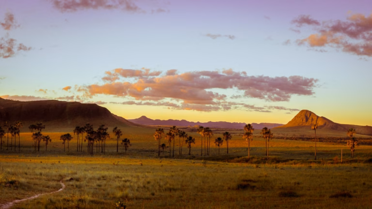Paisagem da Chapada dos Veadeiros ao entardecer
